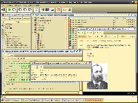 standard java look and feels with different themes